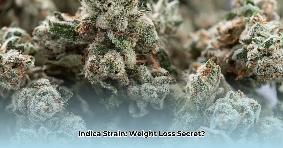indica-strain-for-weight-loss